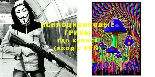 твердый Богданович