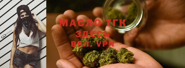 твердый Богданович