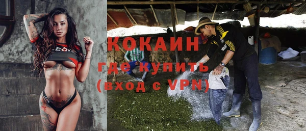 твердый Богданович