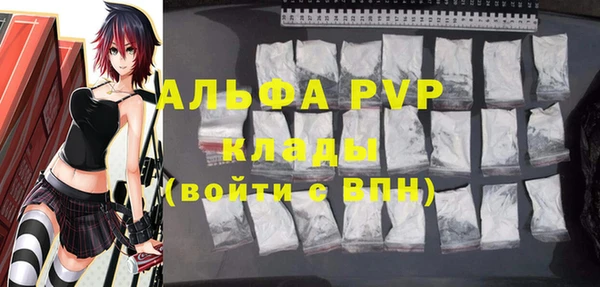 твердый Богданович