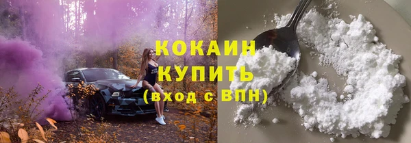 твердый Богданович