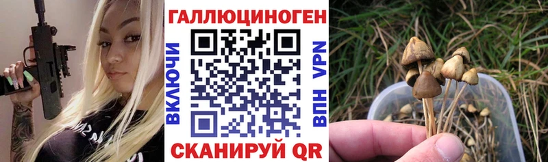 Псилоцибиновые грибы Psilocybine cubensis  где найти   Наро-Фоминск 